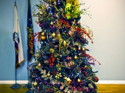 BB 01 XMAS TREE_HDR2